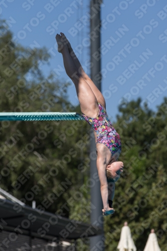 2017 - 8. Sofia Diving Cup 2017 - 8. Sofia Diving Cup 03012_26147.jpg