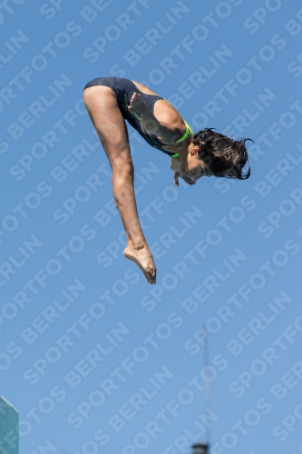 2017 - 8. Sofia Diving Cup 2017 - 8. Sofia Diving Cup 03012_26151.jpg