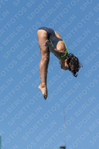 2017 - 8. Sofia Diving Cup 2017 - 8. Sofia Diving Cup 03012_26152.jpg