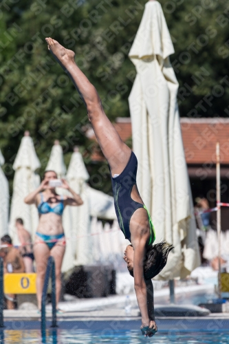 2017 - 8. Sofia Diving Cup 2017 - 8. Sofia Diving Cup 03012_26156.jpg