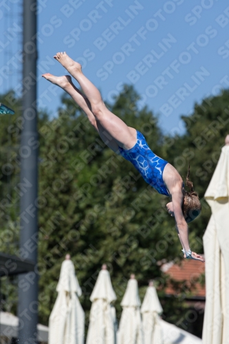 2017 - 8. Sofia Diving Cup 2017 - 8. Sofia Diving Cup 03012_26169.jpg