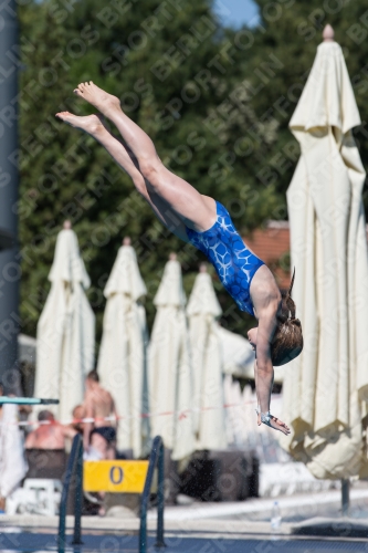2017 - 8. Sofia Diving Cup 2017 - 8. Sofia Diving Cup 03012_26170.jpg