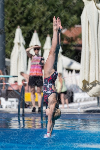 2017 - 8. Sofia Diving Cup 2017 - 8. Sofia Diving Cup 03012_26195.jpg