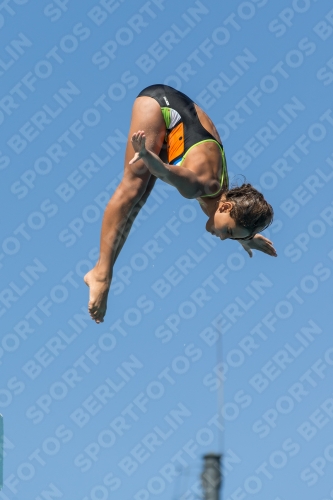 2017 - 8. Sofia Diving Cup 2017 - 8. Sofia Diving Cup 03012_26208.jpg