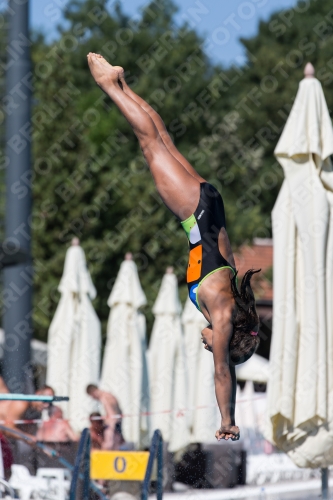 2017 - 8. Sofia Diving Cup 2017 - 8. Sofia Diving Cup 03012_26210.jpg