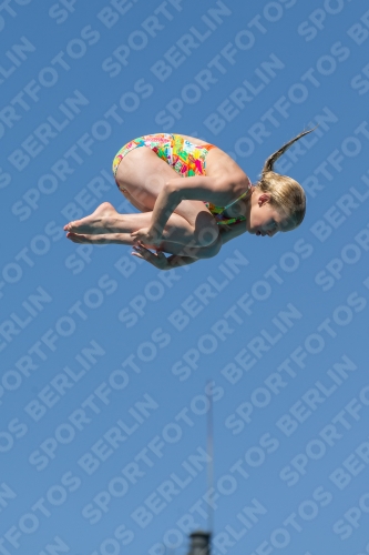 2017 - 8. Sofia Diving Cup 2017 - 8. Sofia Diving Cup 03012_26224.jpg