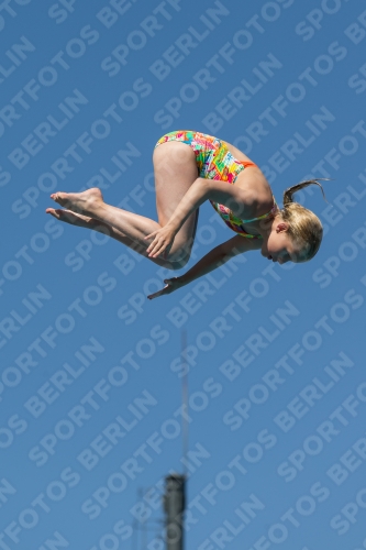 2017 - 8. Sofia Diving Cup 2017 - 8. Sofia Diving Cup 03012_26225.jpg