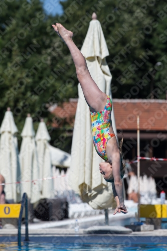 2017 - 8. Sofia Diving Cup 2017 - 8. Sofia Diving Cup 03012_26227.jpg