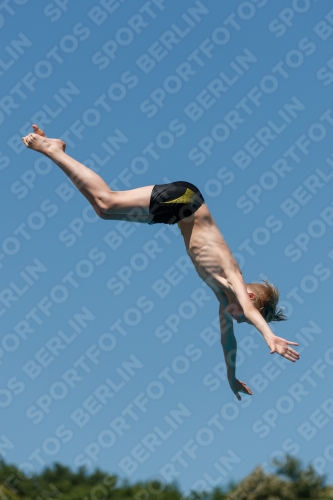 2017 - 8. Sofia Diving Cup 2017 - 8. Sofia Diving Cup 03012_26252.jpg