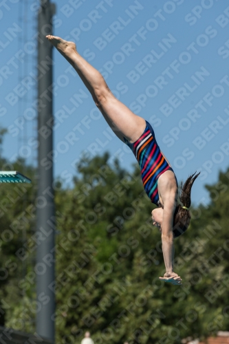 2017 - 8. Sofia Diving Cup 2017 - 8. Sofia Diving Cup 03012_26255.jpg