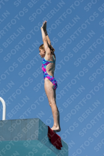 2017 - 8. Sofia Diving Cup 2017 - 8. Sofia Diving Cup 03012_26265.jpg