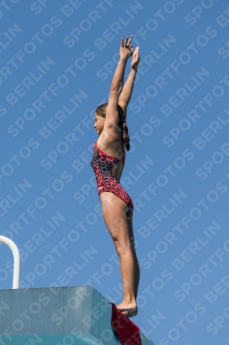 2017 - 8. Sofia Diving Cup 2017 - 8. Sofia Diving Cup 03012_26289.jpg
