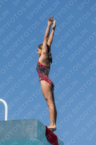 2017 - 8. Sofia Diving Cup 2017 - 8. Sofia Diving Cup 03012_26290.jpg