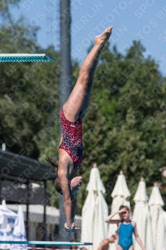 2017 - 8. Sofia Diving Cup 2017 - 8. Sofia Diving Cup 03012_26301.jpg