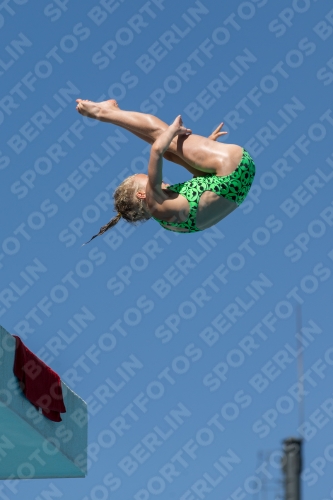 2017 - 8. Sofia Diving Cup 2017 - 8. Sofia Diving Cup 03012_26309.jpg