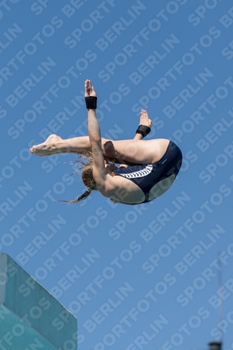 2017 - 8. Sofia Diving Cup 2017 - 8. Sofia Diving Cup 03012_26331.jpg