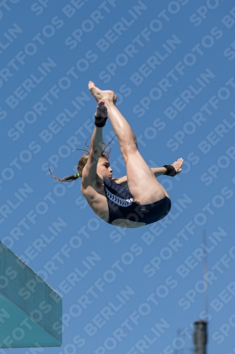 2017 - 8. Sofia Diving Cup 2017 - 8. Sofia Diving Cup 03012_26332.jpg