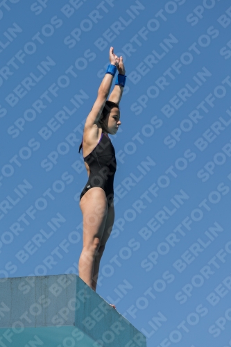 2017 - 8. Sofia Diving Cup 2017 - 8. Sofia Diving Cup 03012_26336.jpg