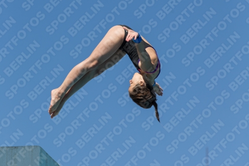 2017 - 8. Sofia Diving Cup 2017 - 8. Sofia Diving Cup 03012_26342.jpg