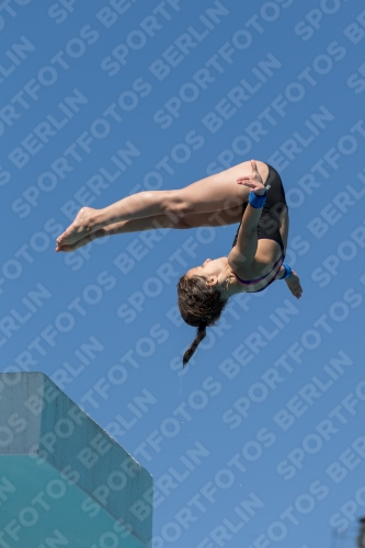 2017 - 8. Sofia Diving Cup 2017 - 8. Sofia Diving Cup 03012_26343.jpg