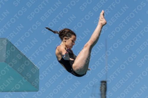 2017 - 8. Sofia Diving Cup 2017 - 8. Sofia Diving Cup 03012_26345.jpg