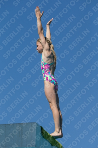2017 - 8. Sofia Diving Cup 2017 - 8. Sofia Diving Cup 03012_26356.jpg