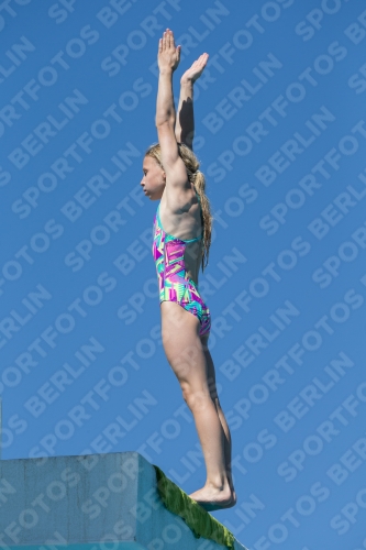 2017 - 8. Sofia Diving Cup 2017 - 8. Sofia Diving Cup 03012_26357.jpg