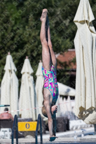 2017 - 8. Sofia Diving Cup 2017 - 8. Sofia Diving Cup 03012_26362.jpg