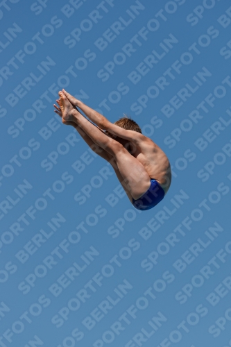 2017 - 8. Sofia Diving Cup 2017 - 8. Sofia Diving Cup 03012_26368.jpg