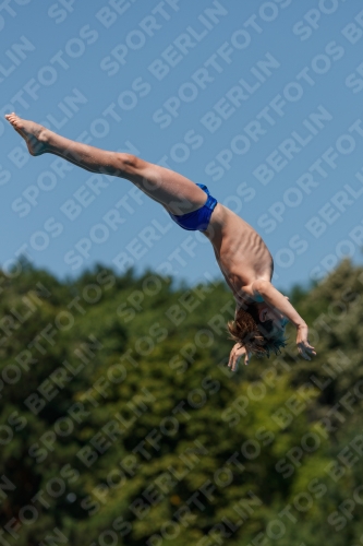 2017 - 8. Sofia Diving Cup 2017 - 8. Sofia Diving Cup 03012_26373.jpg