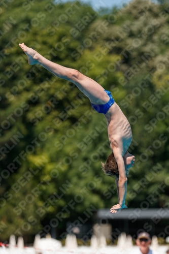 2017 - 8. Sofia Diving Cup 2017 - 8. Sofia Diving Cup 03012_26375.jpg