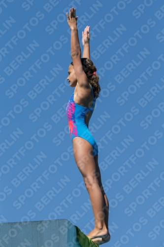 2017 - 8. Sofia Diving Cup 2017 - 8. Sofia Diving Cup 03012_26378.jpg