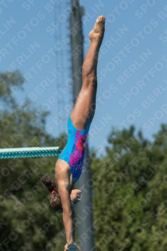 2017 - 8. Sofia Diving Cup 2017 - 8. Sofia Diving Cup 03012_26385.jpg