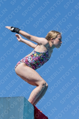 2017 - 8. Sofia Diving Cup 2017 - 8. Sofia Diving Cup 03012_26401.jpg