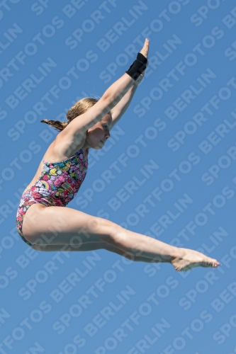 2017 - 8. Sofia Diving Cup 2017 - 8. Sofia Diving Cup 03012_26402.jpg