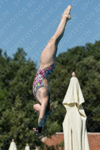 2017 - 8. Sofia Diving Cup 2017 - 8. Sofia Diving Cup 03012_26406.jpg