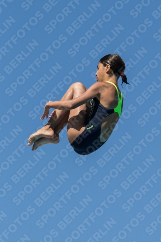 2017 - 8. Sofia Diving Cup 2017 - 8. Sofia Diving Cup 03012_26420.jpg