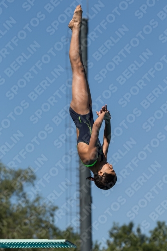 2017 - 8. Sofia Diving Cup 2017 - 8. Sofia Diving Cup 03012_26422.jpg