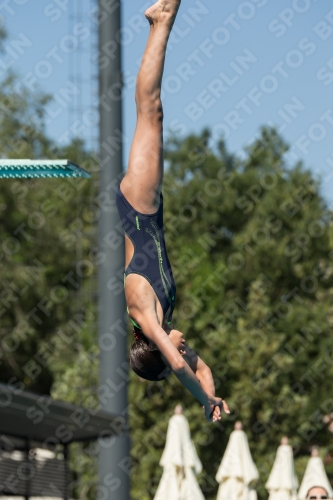 2017 - 8. Sofia Diving Cup 2017 - 8. Sofia Diving Cup 03012_26423.jpg