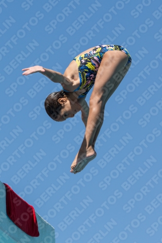 2017 - 8. Sofia Diving Cup 2017 - 8. Sofia Diving Cup 03012_26442.jpg