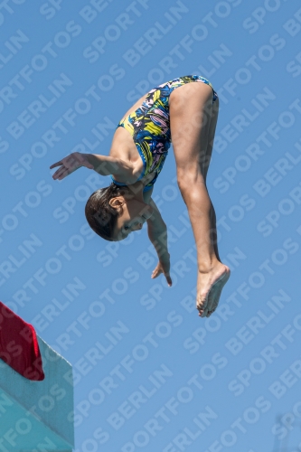 2017 - 8. Sofia Diving Cup 2017 - 8. Sofia Diving Cup 03012_26443.jpg