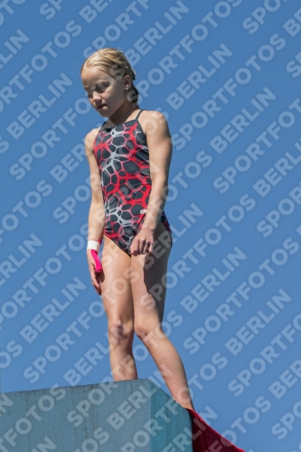 2017 - 8. Sofia Diving Cup 2017 - 8. Sofia Diving Cup 03012_26453.jpg