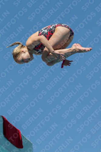 2017 - 8. Sofia Diving Cup 2017 - 8. Sofia Diving Cup 03012_26456.jpg
