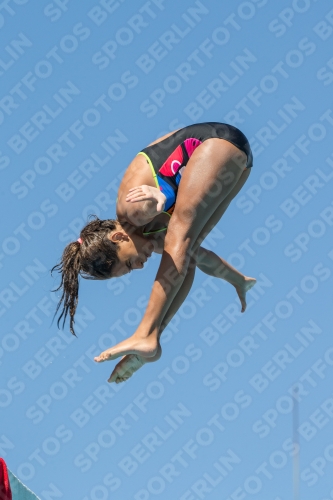2017 - 8. Sofia Diving Cup 2017 - 8. Sofia Diving Cup 03012_26469.jpg