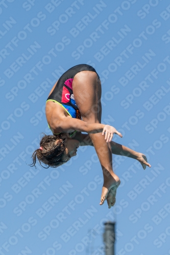 2017 - 8. Sofia Diving Cup 2017 - 8. Sofia Diving Cup 03012_26471.jpg