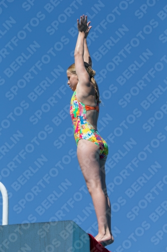 2017 - 8. Sofia Diving Cup 2017 - 8. Sofia Diving Cup 03012_26480.jpg