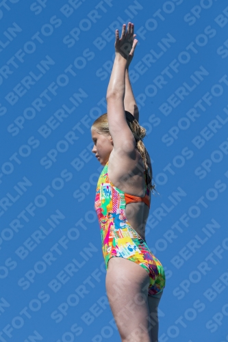 2017 - 8. Sofia Diving Cup 2017 - 8. Sofia Diving Cup 03012_26481.jpg