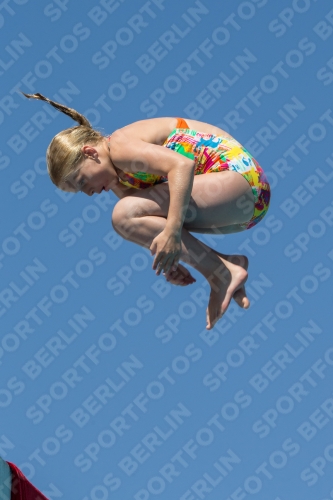 2017 - 8. Sofia Diving Cup 2017 - 8. Sofia Diving Cup 03012_26482.jpg