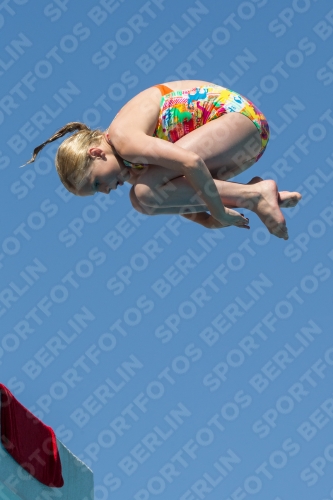 2017 - 8. Sofia Diving Cup 2017 - 8. Sofia Diving Cup 03012_26483.jpg