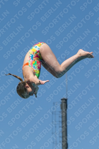 2017 - 8. Sofia Diving Cup 2017 - 8. Sofia Diving Cup 03012_26485.jpg